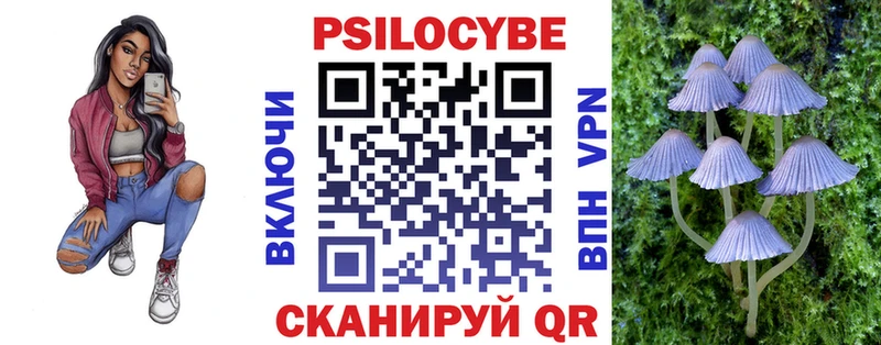 ссылка на мегу маркетплейс  Кимовск  Галлюциногенные грибы мухоморы  купить  сайты 