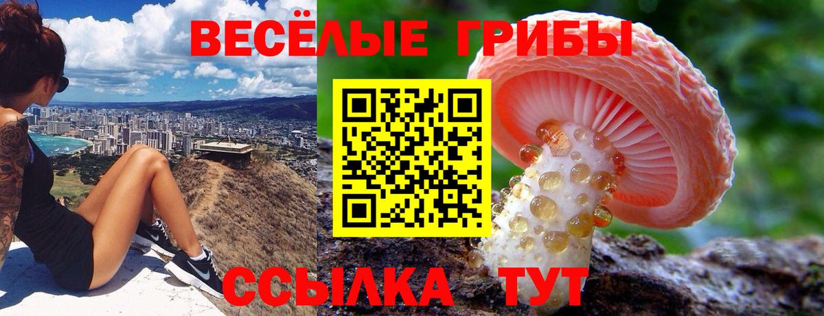 Псилоцибиновые грибы Cubensis  Вход с VPN  Кимовск 